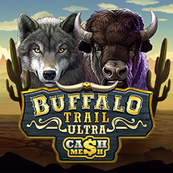 Buffalo Trail Ultra