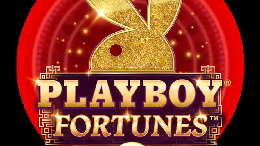 плейбой фортуна слот