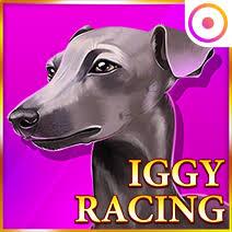 Слот Iggy Racing
