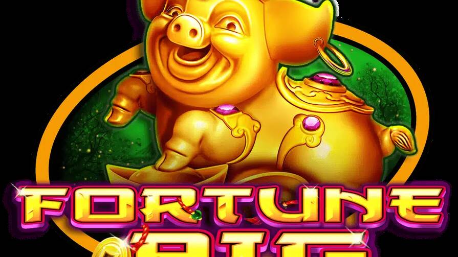 Fortune Pig
